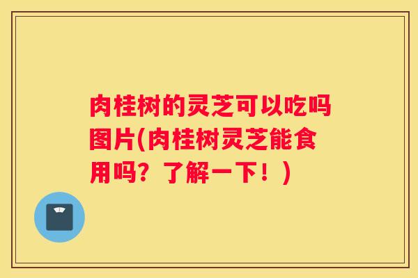 肉桂树的灵芝可以吃吗图片(肉桂树灵芝能食用吗？了解一下！)