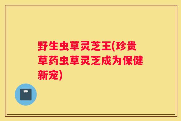 野生虫草灵芝王(珍贵草药虫草灵芝成为保健新宠)