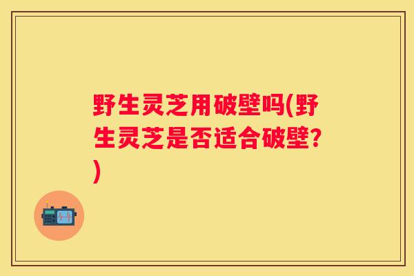 野生灵芝用破壁吗(野生灵芝是否适合破壁？)
