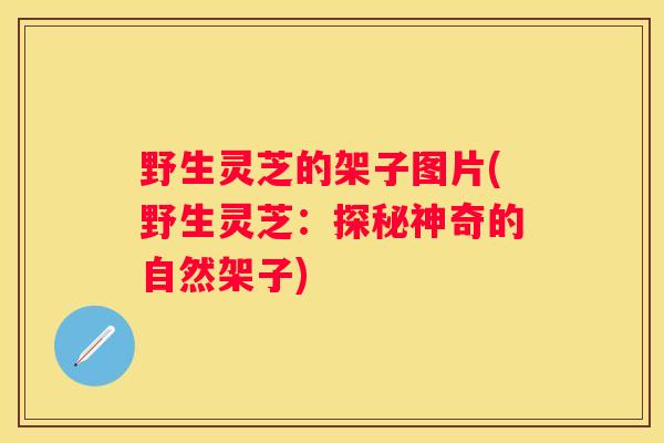 野生灵芝的架子图片(野生灵芝：探秘神奇的自然架子)