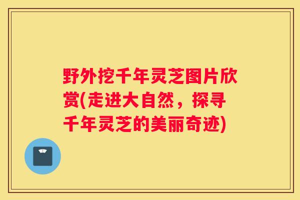 野外挖千年灵芝图片欣赏(走进大自然，探寻千年灵芝的美丽奇迹)
