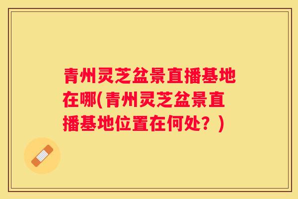 青州灵芝盆景直播基地在哪(青州灵芝盆景直播基地位置在何处？)