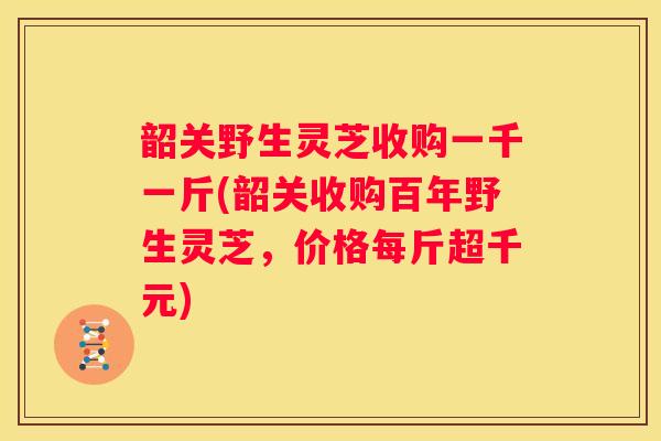 韶关野生灵芝收购一千一斤(韶关收购百年野生灵芝，价格每斤超千元)