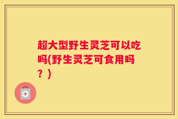 超大型野生灵芝可以吃吗(野生灵芝可食用吗？)