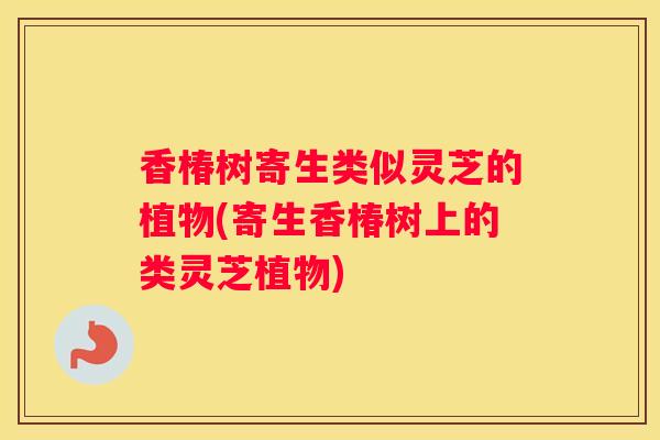 香椿树寄生类似灵芝的植物(寄生香椿树上的类灵芝植物) 香椿树寄生类似灵芝的植物(寄生香椿树上的类灵芝植物)