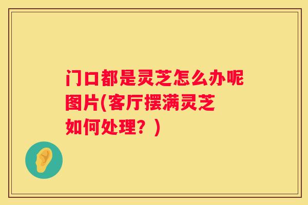 门口都是灵芝怎么办呢图片(客厅摆满灵芝 如何处理？)