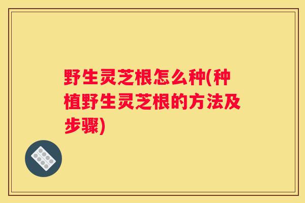 野生灵芝根怎么种(种植野生灵芝根的方法及步骤)