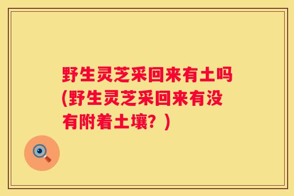 野生灵芝采回来有土吗(野生灵芝采回来有没有附着土壤？)