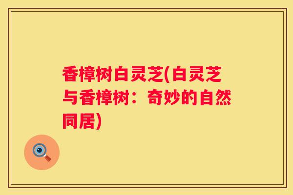 香樟树白灵芝(白灵芝与香樟树:奇妙的自然同居) 香樟树白灵芝(白灵芝与香樟树:奇妙的自然同居)