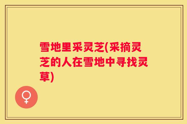 雪地里采灵芝(采摘灵芝的人在雪地中寻找灵草)