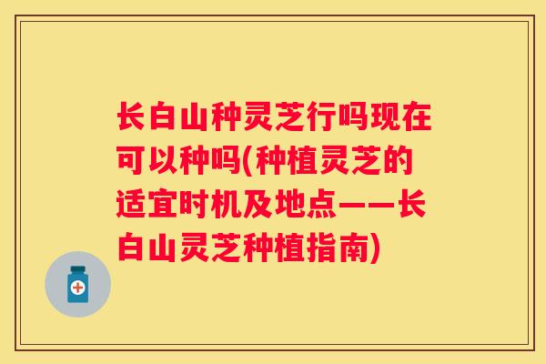 长白山种灵芝行吗现在可以种吗(种植灵芝的适宜时机及地点——长白山灵芝种植指南) 长白山种灵芝行吗现在可以种吗(种植灵芝的适宜时机及地点——长白山灵芝种植指南)