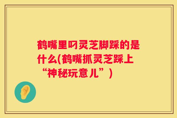 鹤嘴里叼灵芝脚踩的是什么(鹤嘴抓灵芝踩上“神秘玩意儿”)