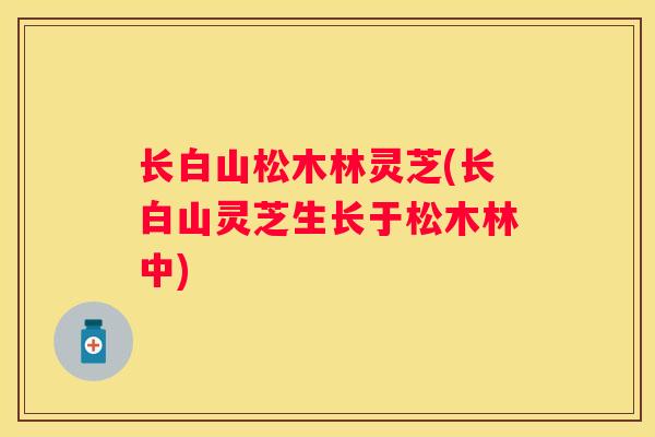 长白山松木林灵芝(长白山灵芝生长于松木林中)