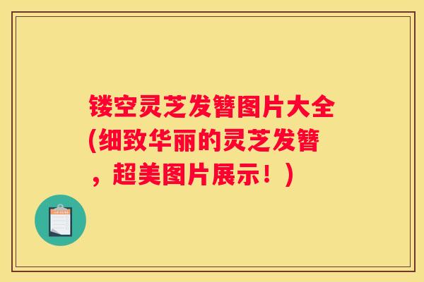 镂空灵芝发簪图片大全(细致华丽的灵芝发簪,超美图片展示!) 镂空灵芝发簪图片大全(细致华丽的灵芝发簪,超美图片展示!)