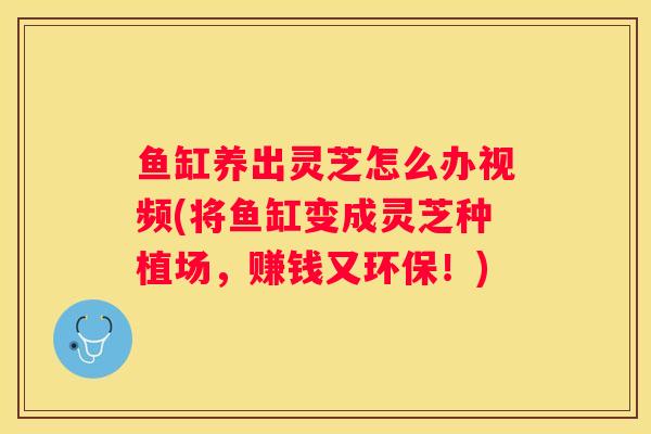 鱼缸养出灵芝怎么办视频(将鱼缸变成灵芝种植场，赚钱又环保！)