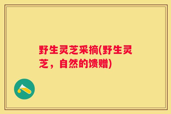 野生灵芝采摘(野生灵芝，自然的馈赠)