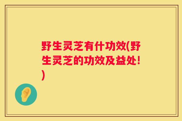 野生灵芝有什功效(野生灵芝的功效及益处!)