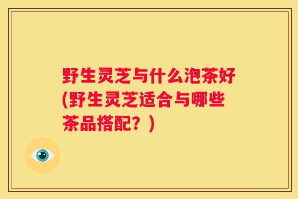 野生灵芝与什么泡茶好(野生灵芝适合与哪些茶品搭配？)