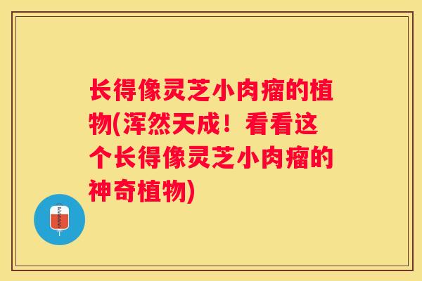 长得像灵芝小肉瘤的植物(浑然天成！看看这个长得像灵芝小肉瘤的神奇植物)