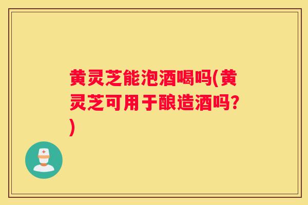 黄灵芝能泡酒喝吗(黄灵芝可用于酿造酒吗？)
