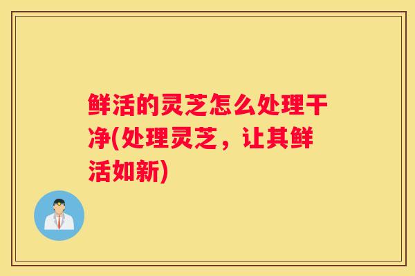 鲜活的灵芝怎么处理干净(处理灵芝，让其鲜活如新)