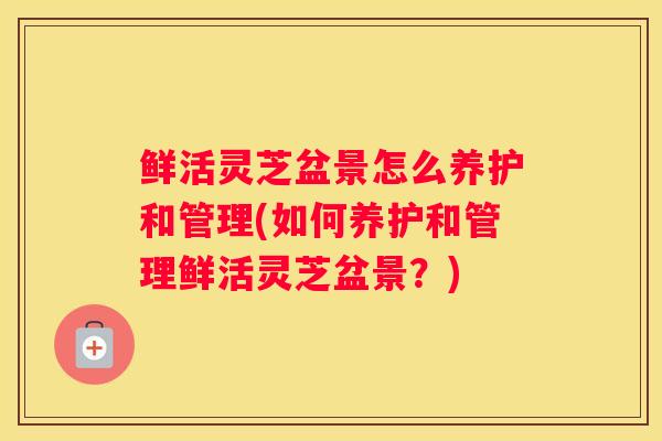 鲜活灵芝盆景怎么养护和管理(如何养护和管理鲜活灵芝盆景?) 鲜活灵芝盆景怎么养护和管理(如何养护和管理鲜活灵芝盆景?)