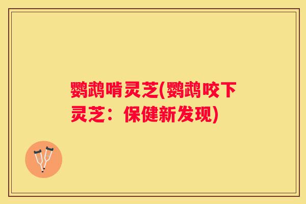 鹦鹉啃灵芝(鹦鹉咬下灵芝：保健新发现)