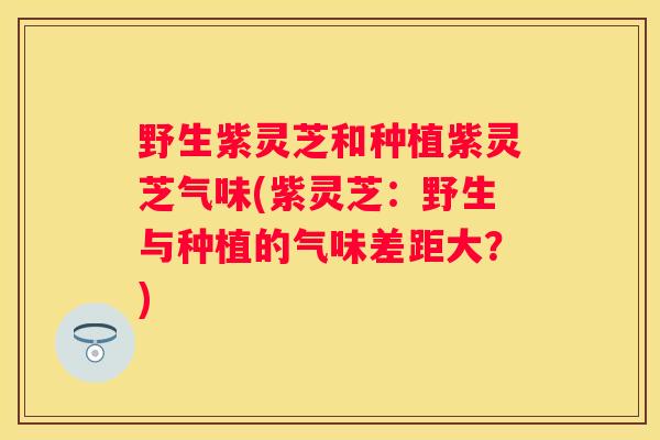 野生紫灵芝和种植紫灵芝气味(紫灵芝：野生与种植的气味差距大？)