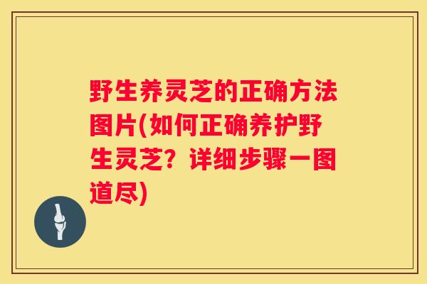 野生养灵芝的正确方法图片(如何正确养护野生灵芝？详细步骤一图道尽)
