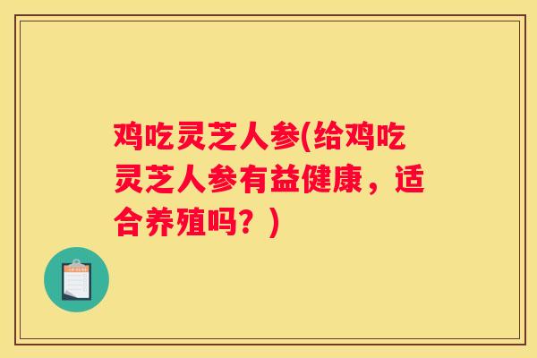 鸡吃灵芝人参(给鸡吃灵芝人参有益健康,适合养殖吗?) 鸡吃灵芝人参(给鸡吃灵芝人参有益健康,适合养殖吗?)