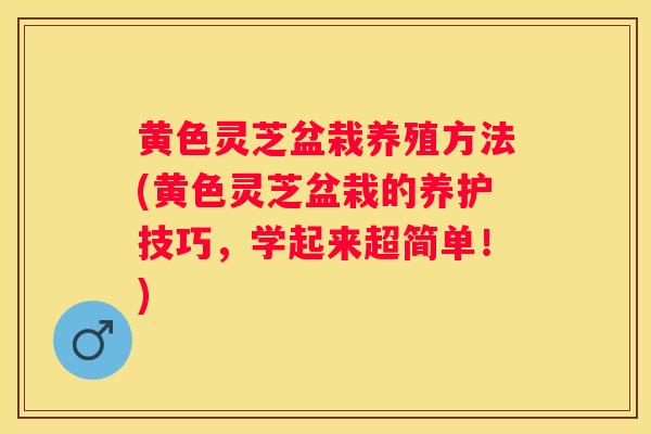 黄色灵芝盆栽养殖方法(黄色灵芝盆栽的养护技巧,学起来超简单!) 黄色灵芝盆栽养殖方法(黄色灵芝盆栽的养护技巧,学起来超简单!)