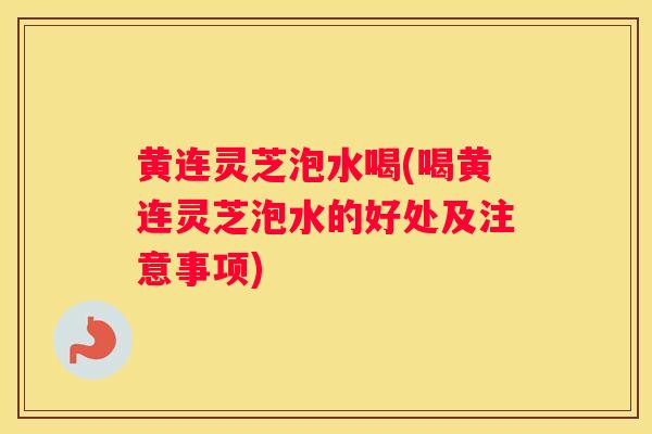 黄连灵芝泡水喝(喝黄连灵芝泡水的好处及注意事项)