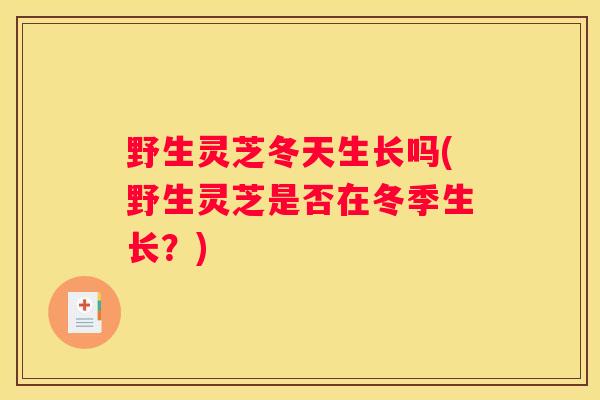 野生灵芝冬天生长吗(野生灵芝是否在冬季生长？)