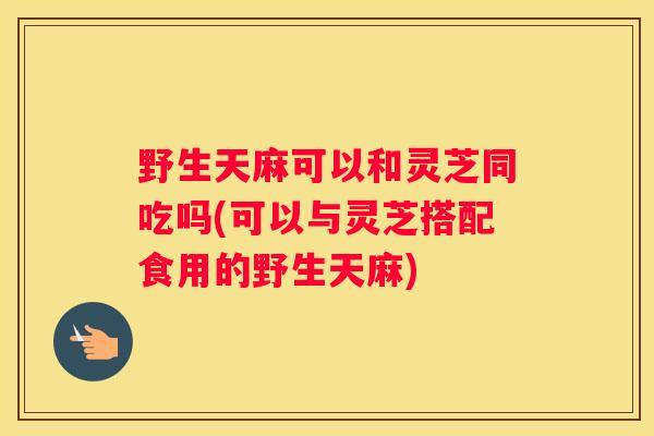 野生天麻可以和灵芝同吃吗(可以与灵芝搭配食用的野生天麻)