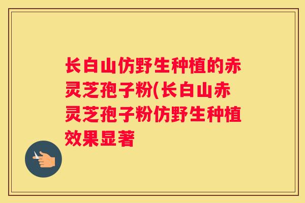 长白山仿野生种植的赤灵芝孢子粉(长白山赤灵芝孢子粉仿野生种植效果显著 长白山仿野生种植的赤灵芝孢子粉(长白山赤灵芝孢子粉仿野生种植效果显著