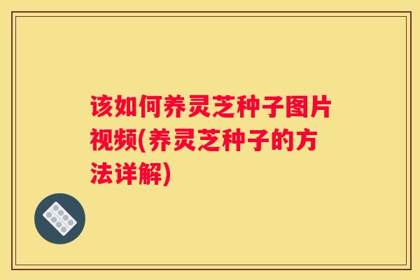 该如何养灵芝种子图片视频(养灵芝种子的方法详解) 该如何养灵芝种子图片视频(养灵芝种子的方法详解)