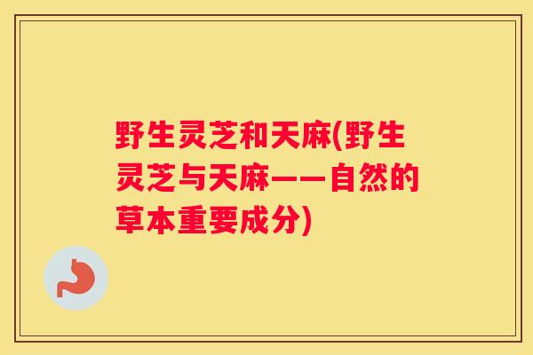 野生灵芝和天麻(野生灵芝与天麻——自然的草本重要成分) 野生灵芝和天麻(野生灵芝与天麻——自然的草本重要成分)
