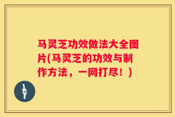 马灵芝功效做法大全图片(马灵芝的功效与制作方法，一网打尽！)