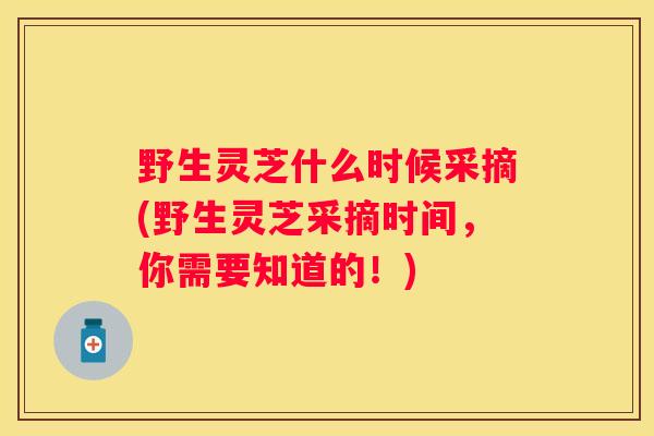 野生灵芝什么时候采摘(野生灵芝采摘时间,你需要知道的!) 野生灵芝什么时候采摘(野生灵芝采摘时间,你需要知道的!)