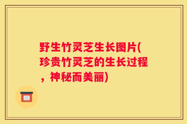 野生竹灵芝生长图片(珍贵竹灵芝的生长过程，神秘而美丽)