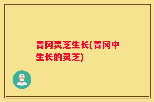 青冈灵芝生长(青冈中生长的灵芝)