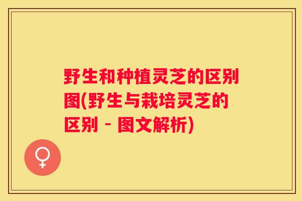 野生和种植灵芝的区别图(野生与栽培灵芝的区别 - 图文解析)