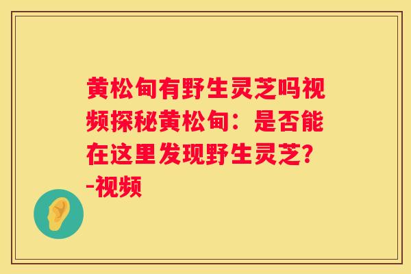 黄松甸有野生灵芝吗视频探秘黄松甸：是否能在这里发现野生灵芝？-视频