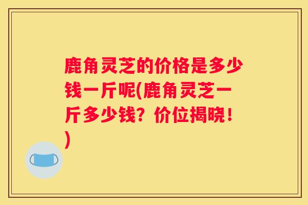 鹿角灵芝的价格是多少钱一斤呢(鹿角灵芝一斤多少钱?价位揭晓!) 鹿角灵芝的价格是多少钱一斤呢(鹿角灵芝一斤多少钱?价位揭晓!)