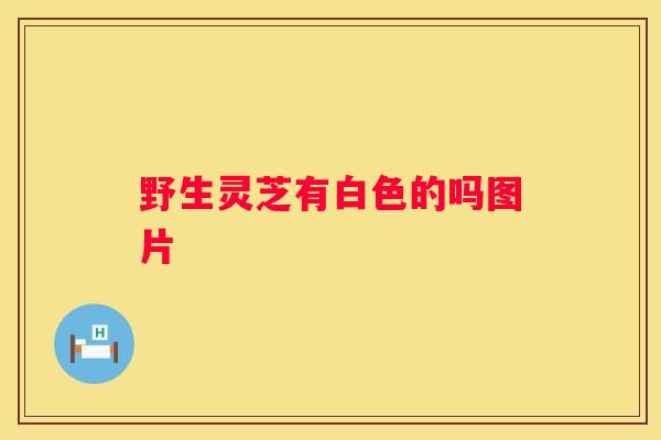 野生灵芝有白色的吗图片