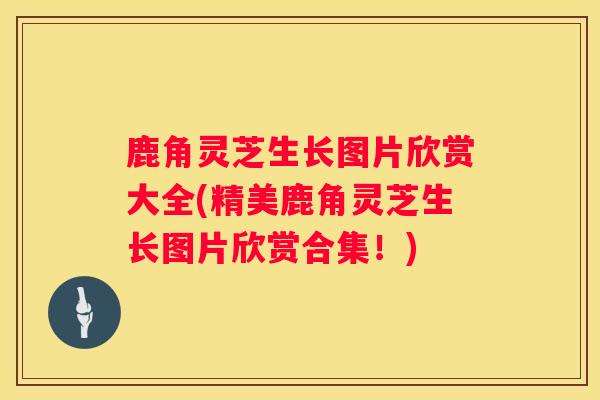 鹿角灵芝生长图片欣赏大全(精美鹿角灵芝生长图片欣赏合集！)