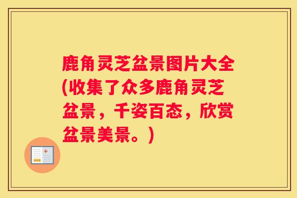 鹿角灵芝盆景图片大全(收集了众多鹿角灵芝盆景，千姿百态，欣赏盆景美景。)