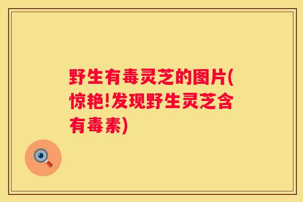 野生有毒灵芝的图片(惊艳!发现野生灵芝含有毒素) 野生有毒灵芝的图片(惊艳!发现野生灵芝含有毒素)