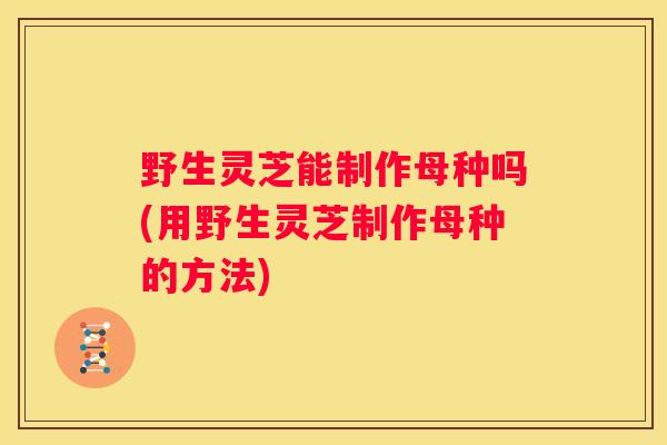野生灵芝能制作母种吗(用野生灵芝制作母种的方法) 野生灵芝能制作母种吗(用野生灵芝制作母种的方法)