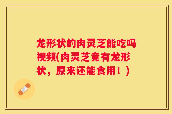 龙形状的肉灵芝能吃吗视频(肉灵芝竟有龙形状，原来还能食用！)